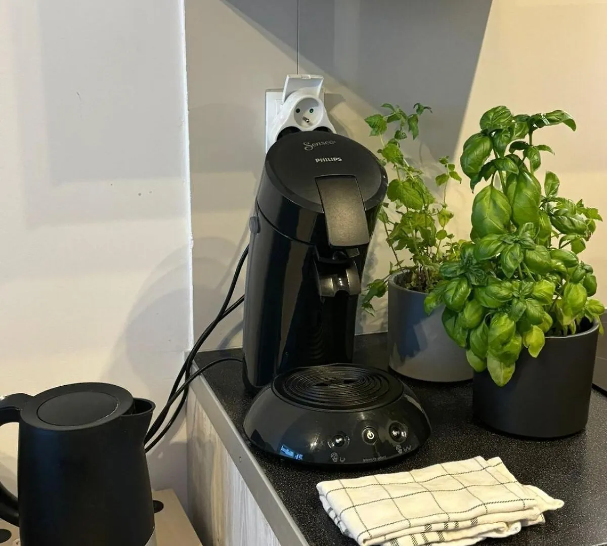 Cozy New Apartment With Balcony 포즈난